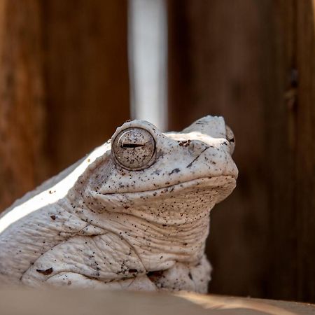 The Silk Road Lodge Hoedspruit Eksteriør billede