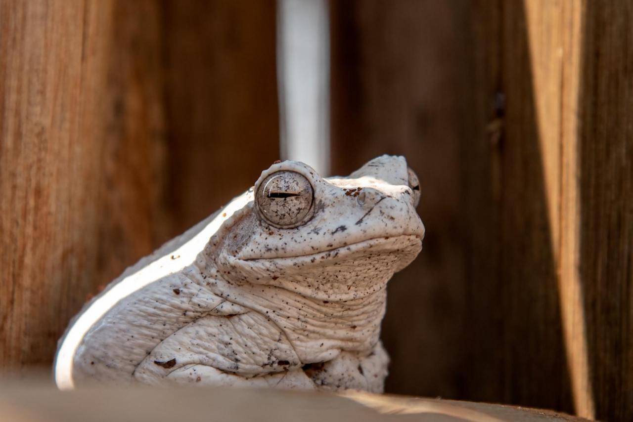 The Silk Road Lodge Hoedspruit Eksteriør billede